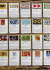 Wisdom Cards / Designs of the Andes